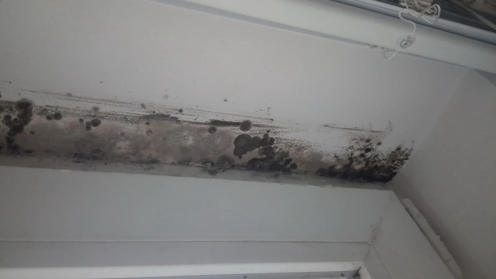 Macchie di muffa sulla parete di un ambiente interno